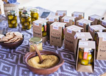 Burgol fermented che**se: El primer queso vegetal a base de trigo en Chile