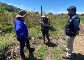 Agricultura recuerda medidas técnicas en respuesta a lluvias y granizos de fin de semana