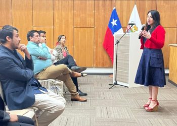 Subsecretaría de prevención del Delito realizó capacitación en “Diseño Urbano Seguro” a los municipios de la región del Maule
