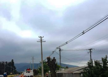 CGE invierte más de $660 millones en potenciar servicio eléctrico de Molina