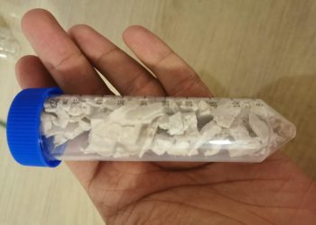 Desarrollan packaging antimicrobiano para favorecer las exportaciones frutícolas