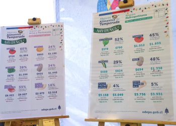 Ministerio de Agricultura recomienda carnes blancas, verduras y frutos rojos para cenas de fin de año