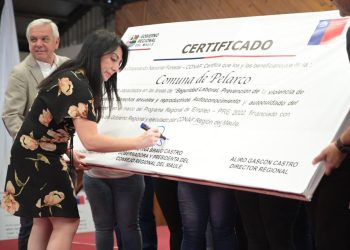 1500 maulinos fueron beneficiados con el Programa Regional de Empleo del Gobierno Regional y CONAF