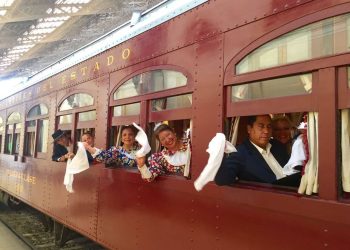 Estos son todos los trenes turísticos que estarán disponibles este verano: Dos son del Maule