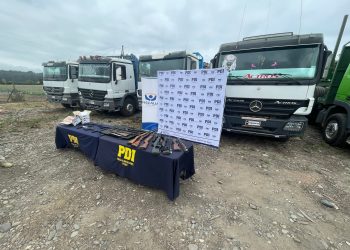 46 detenidos en gran operativo ligado a robo de madera