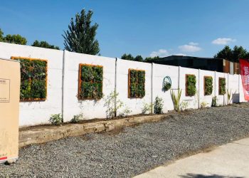 Concluye proyecto del Fondo de Protección Ambiental con instalación de muro verde en emblemático barrio de Molina
