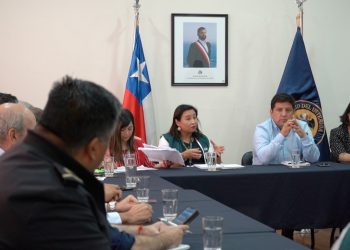 Primer caso de gripe aviar en el Maule