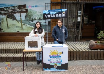 Últimos días de la consulta ciudadana en Constitución