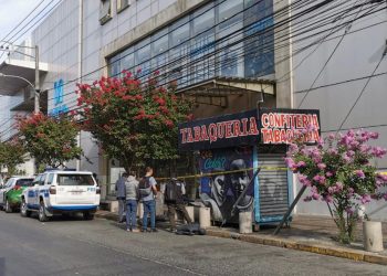 Roban tienda en Mall de Curicó
