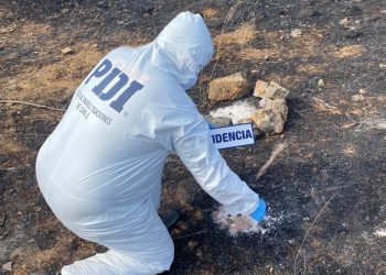 Tres detenidos por incendio forestal en Cauquenes