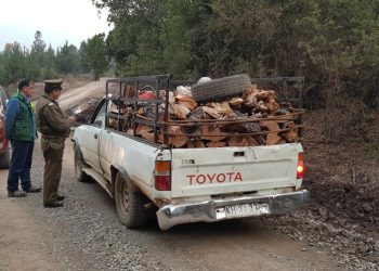 Maule es la tercera región del país con mayor actividad de fiscalización forestal de CONAF