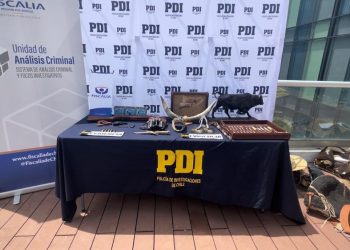 Desbaratada banda interregional dedicada al robo de aperos de huaso
