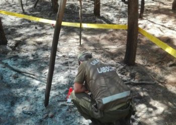 Labocar Talca llama a prevenir incendios forestales