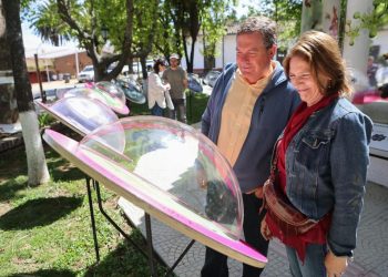 Muestra gratuita sobre abejas silvestres se extenderá hasta mediados de marzo en la plaza de Vichuquén