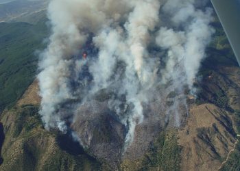 Incendios forestales: CONAF activa Botón Rojo entre Maule y La Araucanía por altas temperaturas