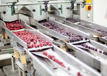Gases en cámaras frías protegen frutas de exportación hasta por un año