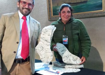 Mujeres Maulinas ya pueden postular al programa Mujer Emprende para fortalecer sus negocios