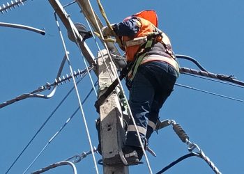 CGE invierte 23 mil millones en 2023 para mejorar la calidad del servicio eléctrico en el Maule
