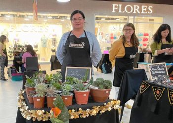 El Día de la Mujer se conmemora con feria de emprendedoras maulinas en Mall Go Florida