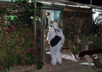 Brutal femicidio en Maule: Hombre mató a hachazos a mujer