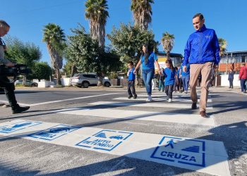 Municipalidad de Curicó crea el primer paso peatonal para personas TEA de la provincia