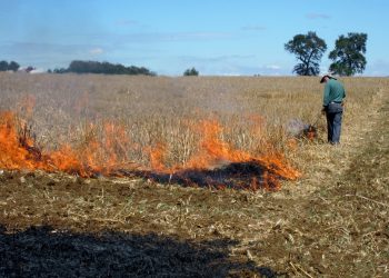 Llaman a extremar precauciones por quemas agrícolas