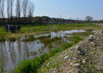 Segundo Tribunal Ambiental ordenó al MMA realizar nuevamente procedimiento de declaración del Humedal Urbano de Linares