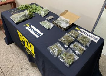 Detenido sujeto que cultivaba marihuana en su casa del sector Las Rastras