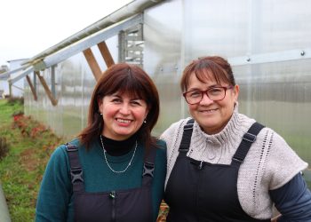 Anuncian primer concurso nacional de riego para agricultoras 2023
