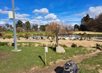 Utalca informa sobre cierre de Jardín Botánico y Arboretum