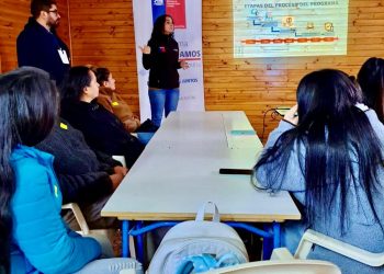 Apoyados por el FOSIS cerca de 2 mil maulinos harán crecer sus negocios