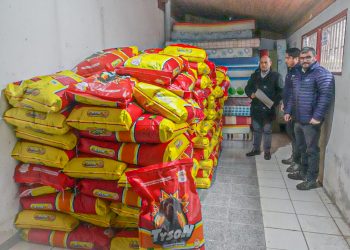Arriba  a Curicó ayuda en alimento para perros