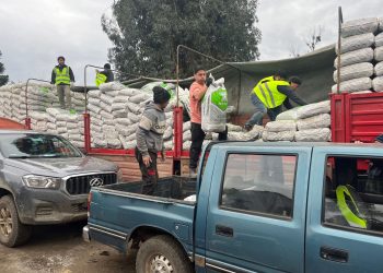 110 agricultores de Longaví recibieron sacos de concentrados para sus animales