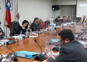 Maulinos pueden seguir votando por quienes quieren que reciban condecoración al mérito región del Maule