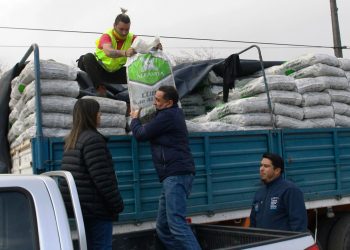 Más de 200 agricultores de Curicó recibieron alimentación para sus animales