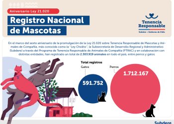 Aniversario de ‘’Ley Cholito’’: Más de 2 millones de animales de compañía han sido registrados en el país