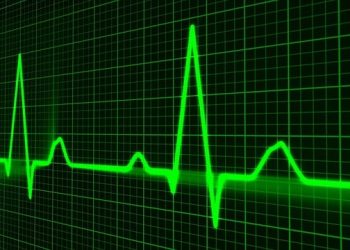 Especialistas entregan recomendaciones para prevenir enfermedades al corazón