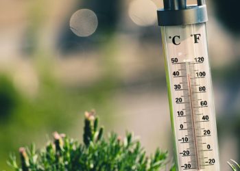 Estudio anticipa el verano más cálido de la historia en la zona central del país
