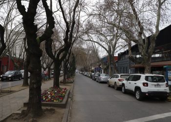 10 y 11 de agosto: Diagonal Isidoro Del Solar se cerrará al tránsito vehicular para facilitar labores de poda del arbolado