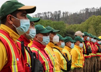 Abren proceso de inscripción para brigadas de incendios forestales