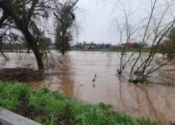 Plantean dudas sobre terreno donde se construiría nuevo terminal de buses de Talca debido a inundaciones
