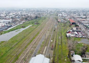Informan acciones para recuperar el Ramal Talca-Constitución