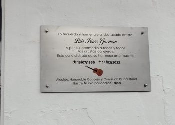 Instalan placa recordatoria de artista callejero “Luchito” Pérez en paseo peatonal de Talca