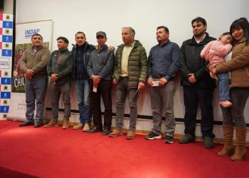 Apicultores curicanos recibieron ayuda económica para alimentar a sus abejas