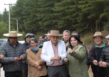 Comenzó pavimentación de caminos básicos del sector Borde Lago de Colbún