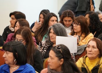 Mujeres Líderes del Maule intervienen en charla de “Liderazgo, Género y Cambio Climático”