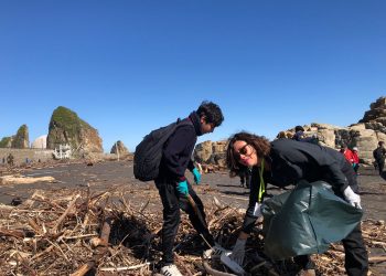 Cerca de 500 kilos de residuos marinos fueron recolectados en jornada de limpieza de playas en Constitución