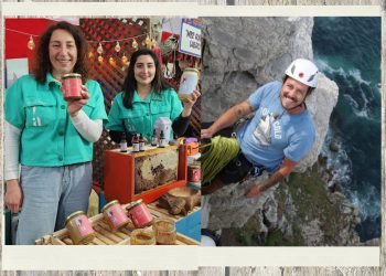 Apicultura con más de 130 años de tradición y camping ecológico con conciencia ambiental: Historias de emprendedores maulinos