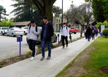Más de 40 mil estudiantes maulinos en educación superior accedieron a la Gratuidad