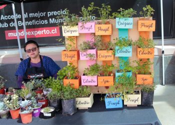 Para apoyar a emprendedores: Nueva jornada de Mercado Campesino llega a Mall Curicó